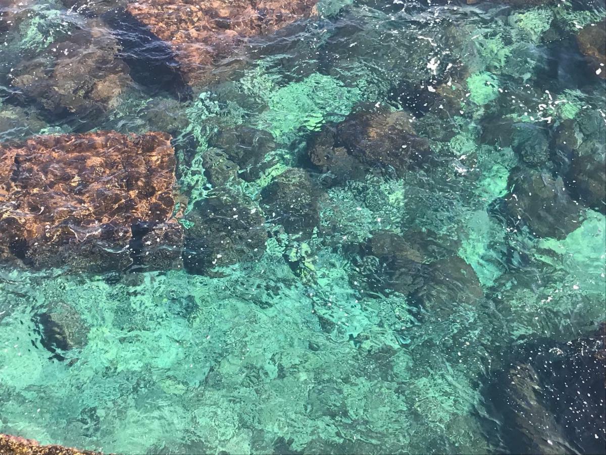 Sicily Mon Amour Ortigia Syrakus Exterior foto